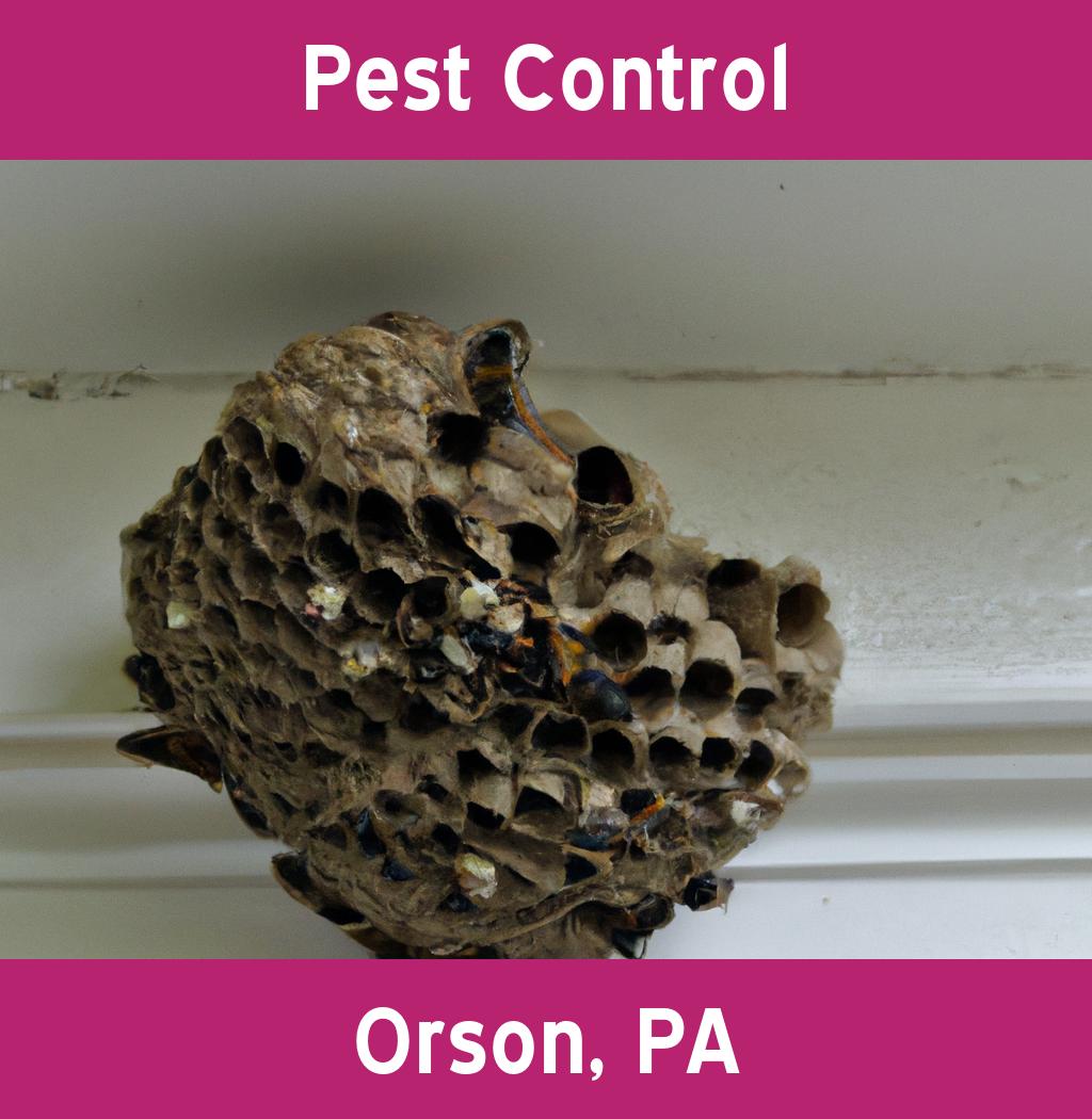 pest control in Orson Pennsylvania