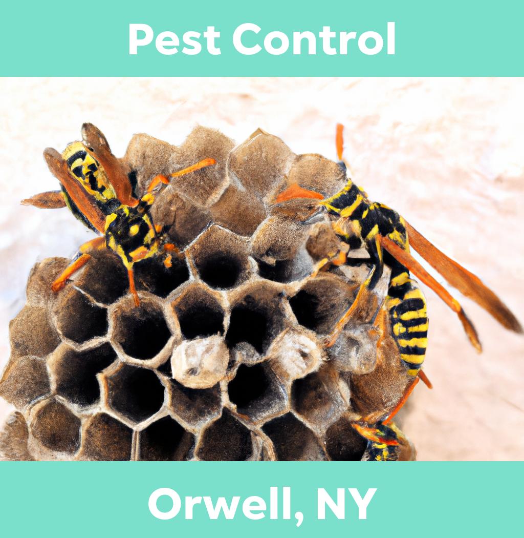 pest control in Orwell New York