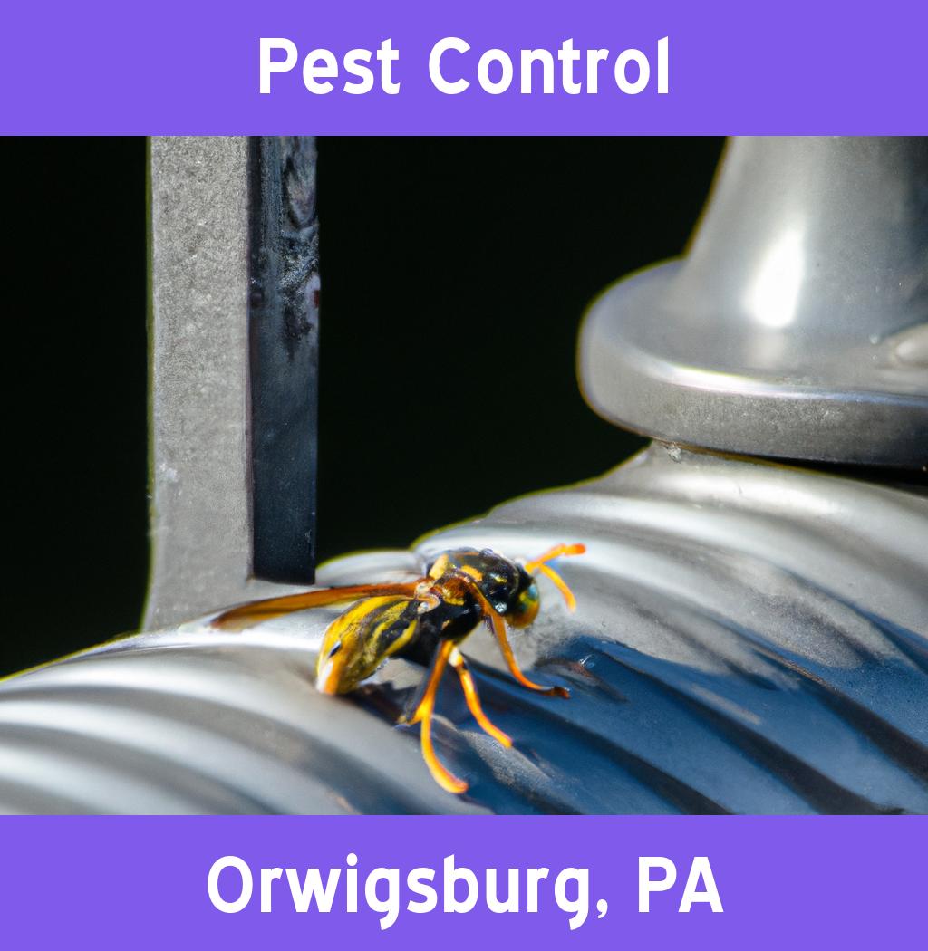 pest control in Orwigsburg Pennsylvania