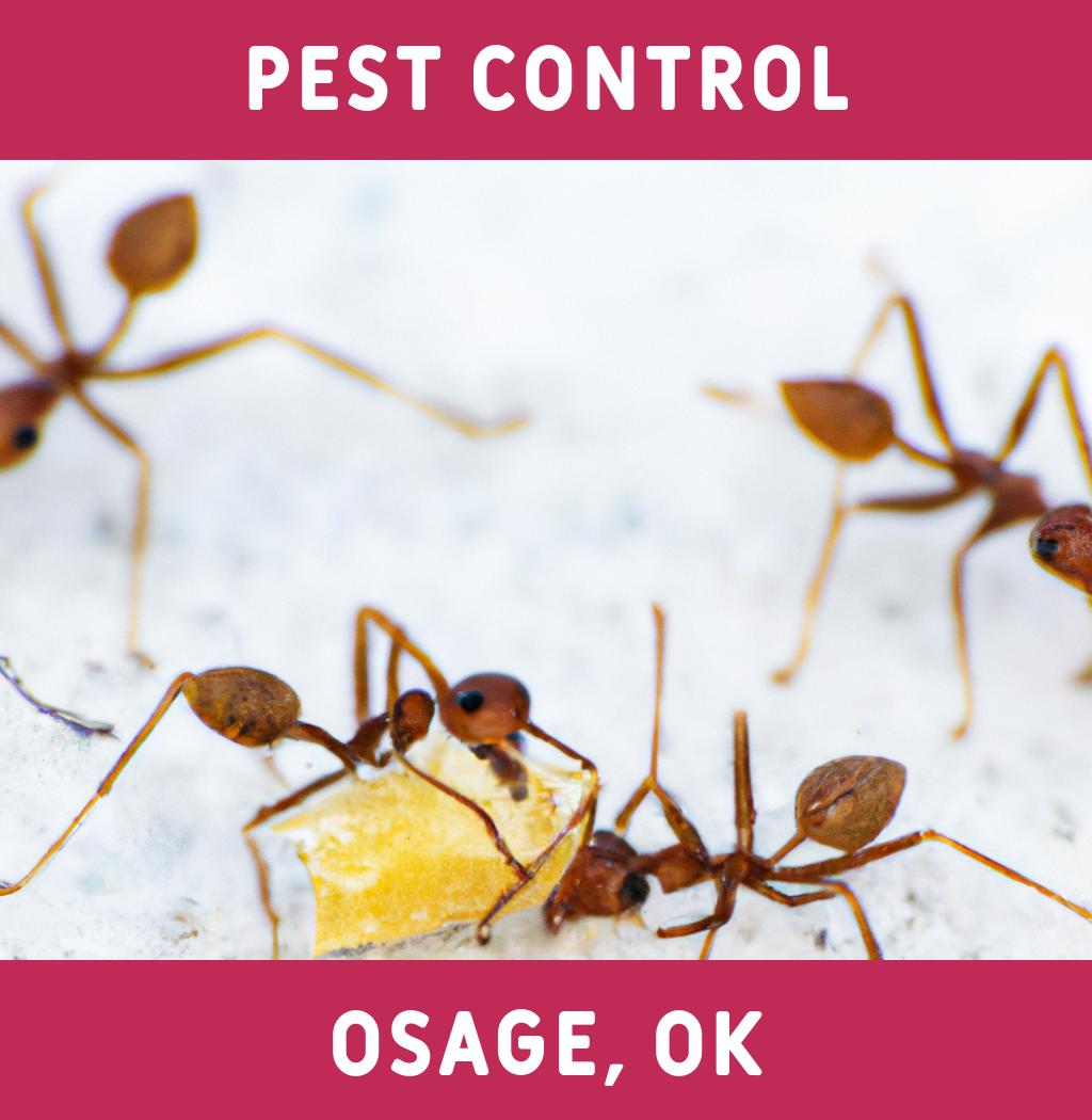 pest control in Osage Oklahoma