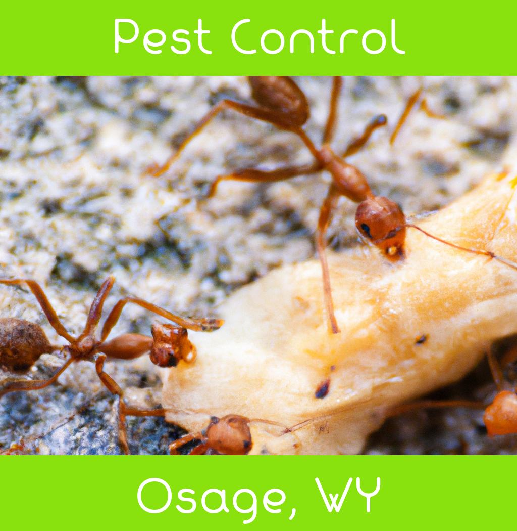 pest control in Osage Wyoming