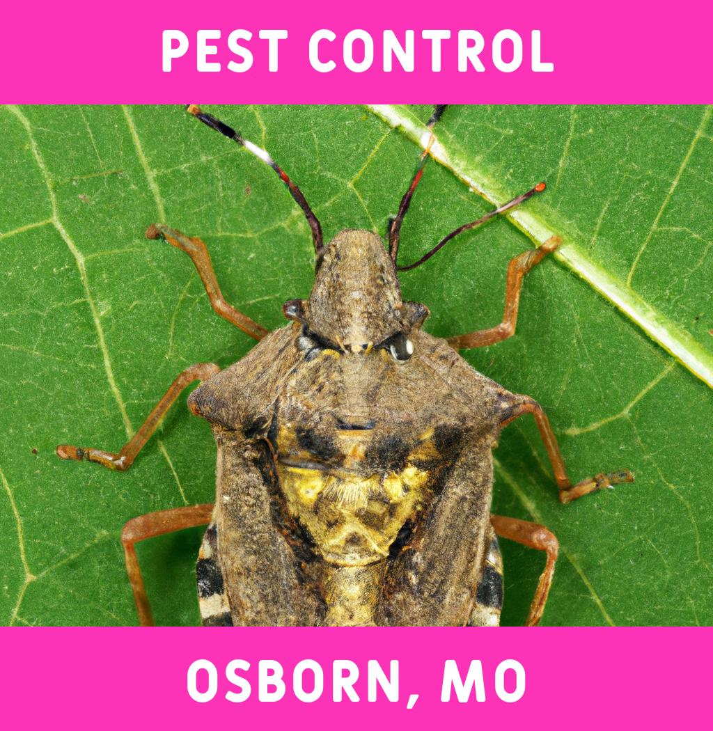 pest control in Osborn Missouri