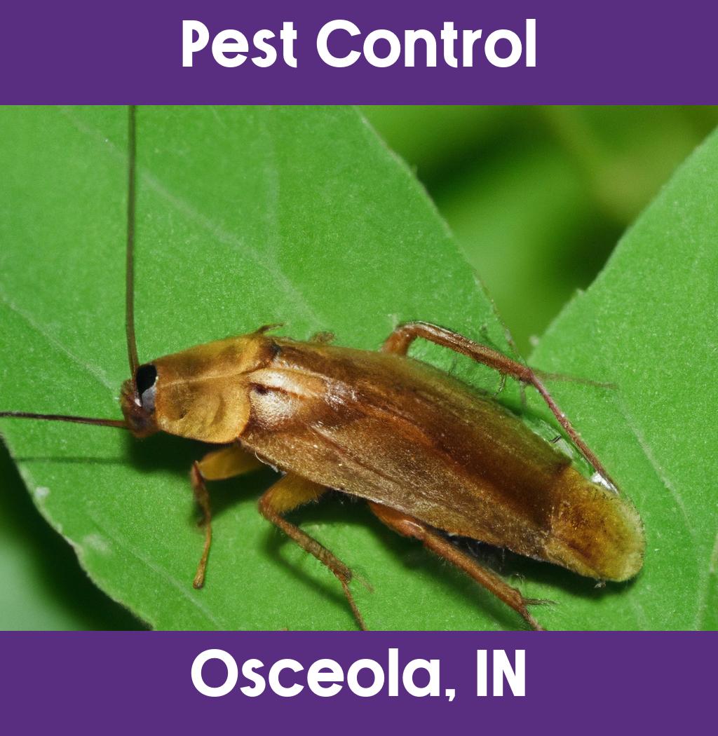 pest control in Osceola Indiana