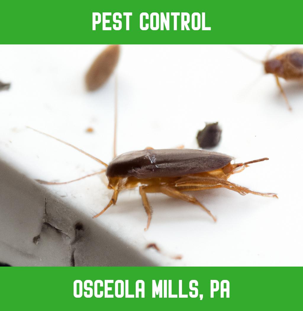 pest control in Osceola Mills Pennsylvania