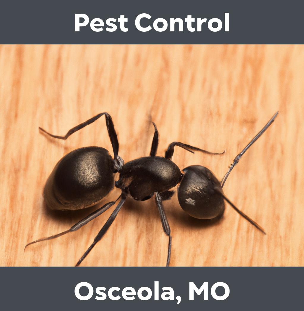pest control in Osceola Missouri