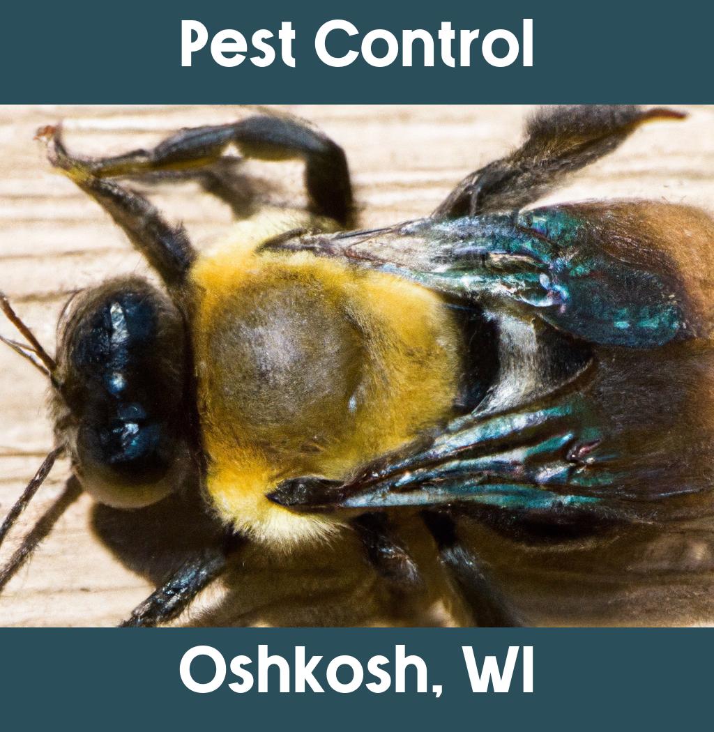 pest control in Oshkosh Wisconsin