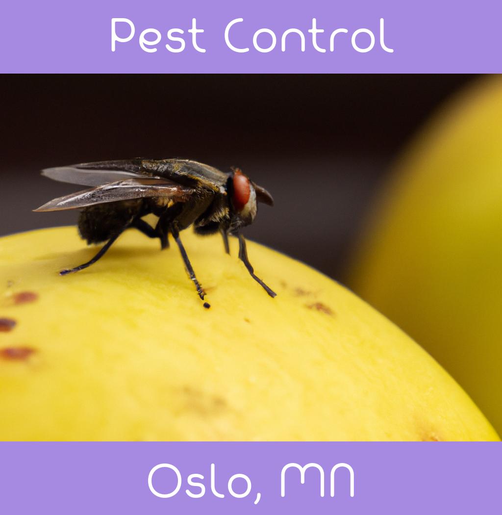 pest control in Oslo Minnesota