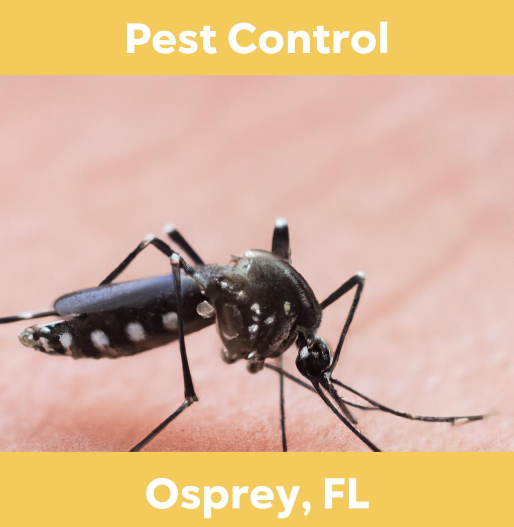 pest control in Osprey Florida