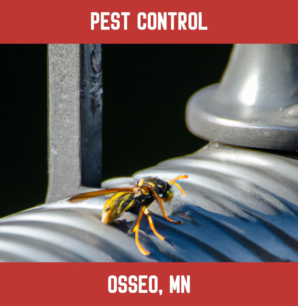 pest control in Osseo Minnesota