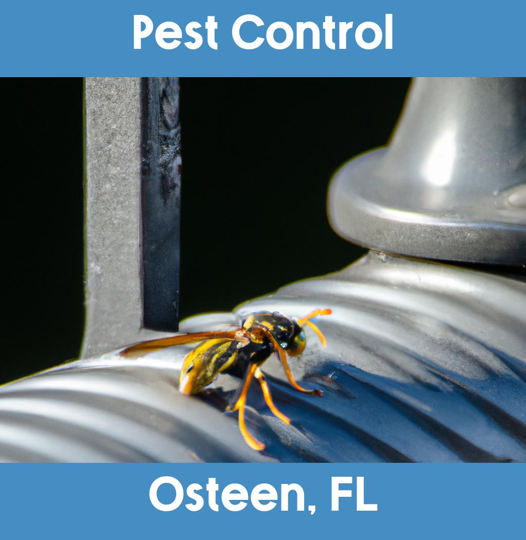 pest control in Osteen Florida