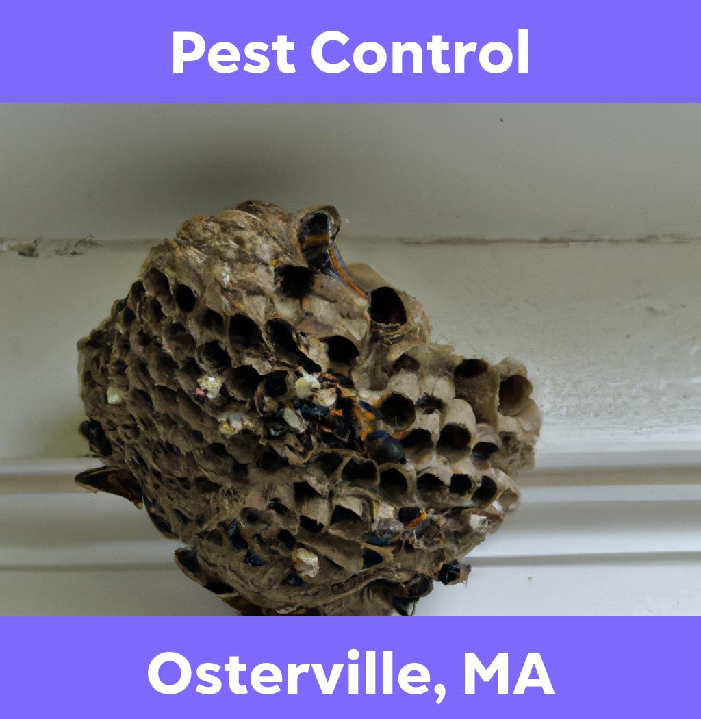 pest control in Osterville Massachusetts
