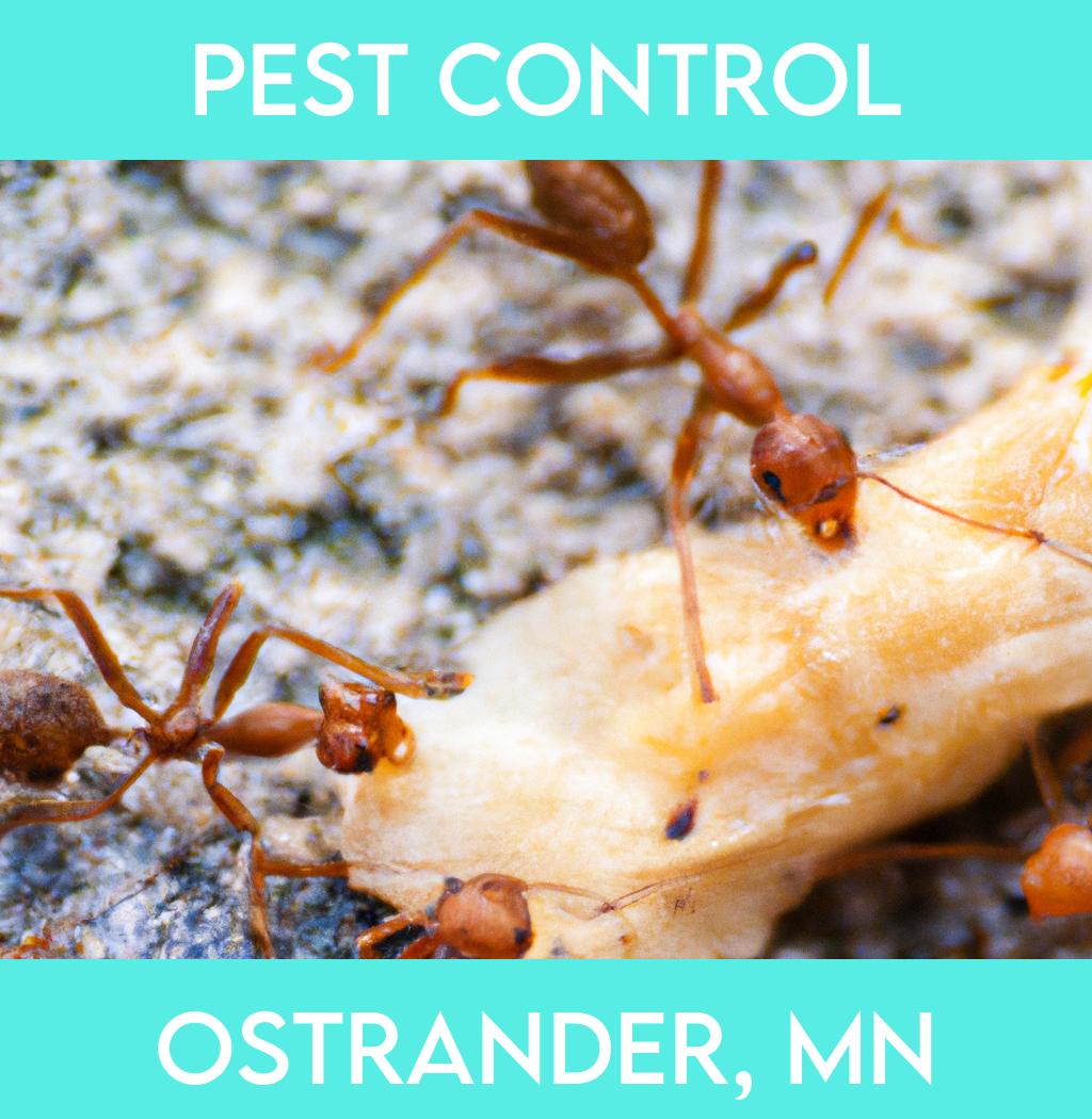 pest control in Ostrander Minnesota