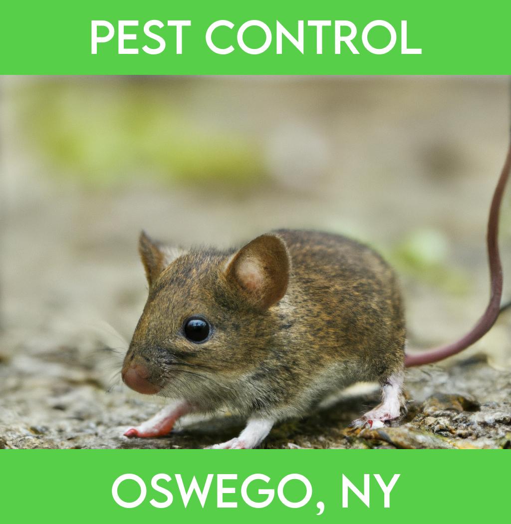 pest control in Oswego New York