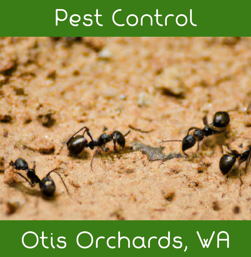 pest control in Otis Orchards Washington