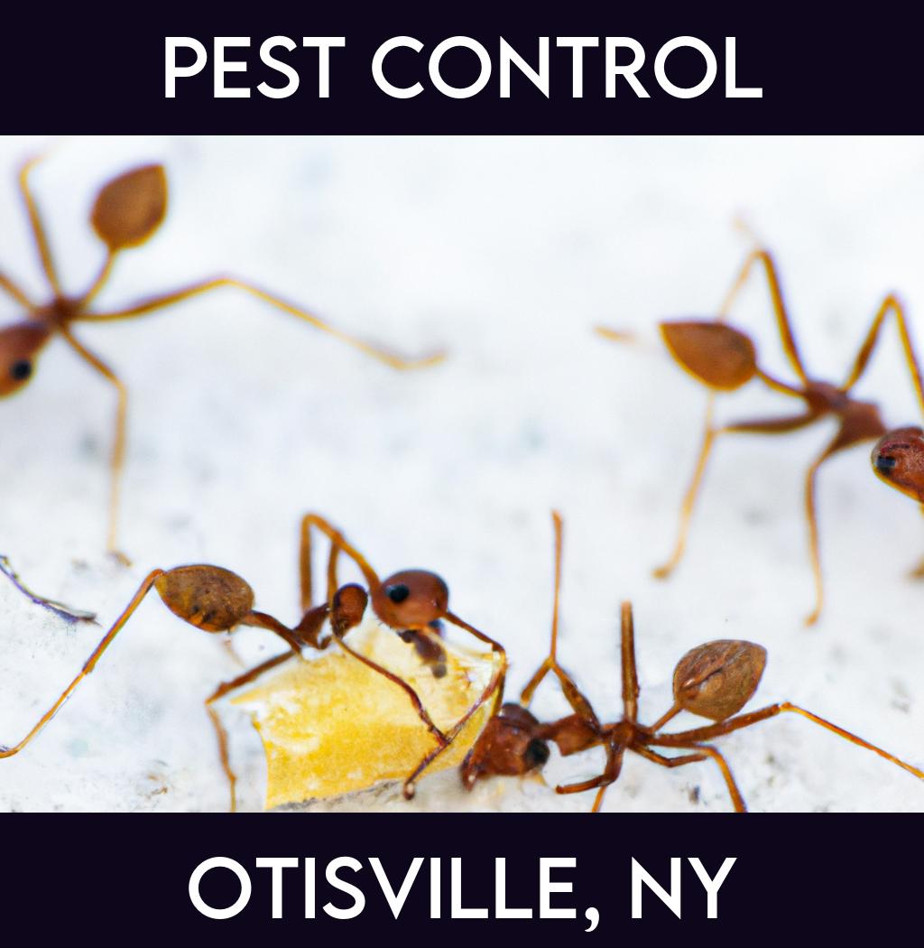 pest control in Otisville New York