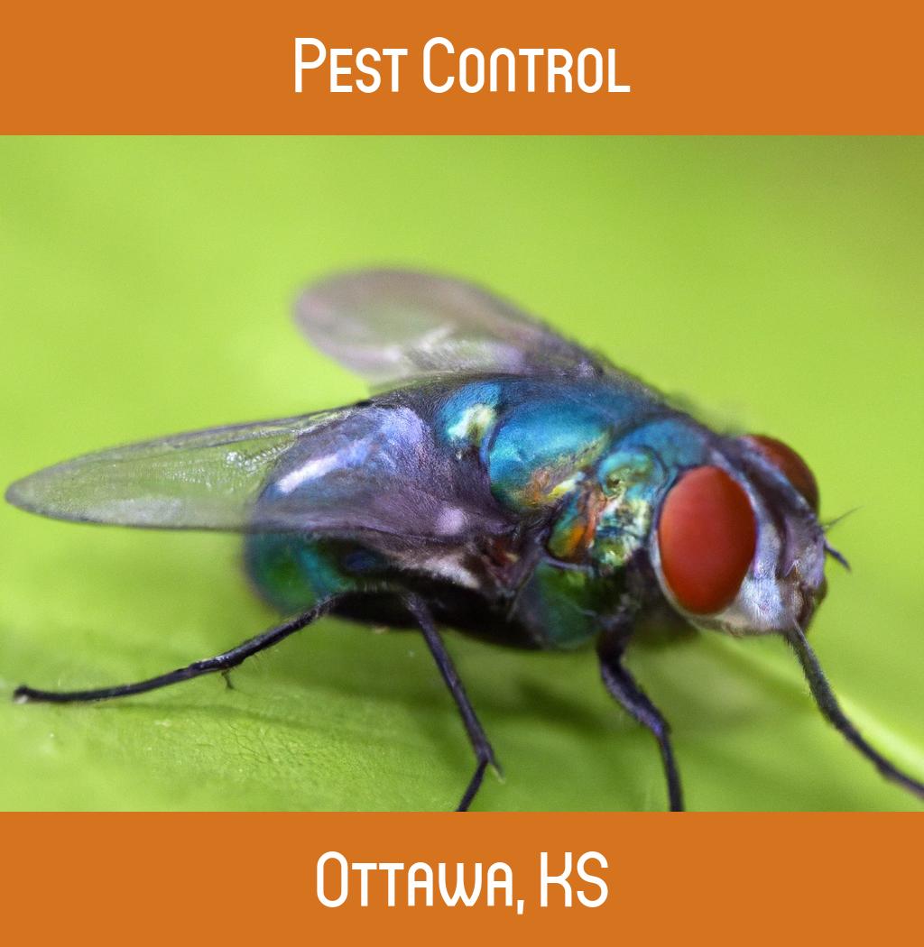 pest control in Ottawa Kansas