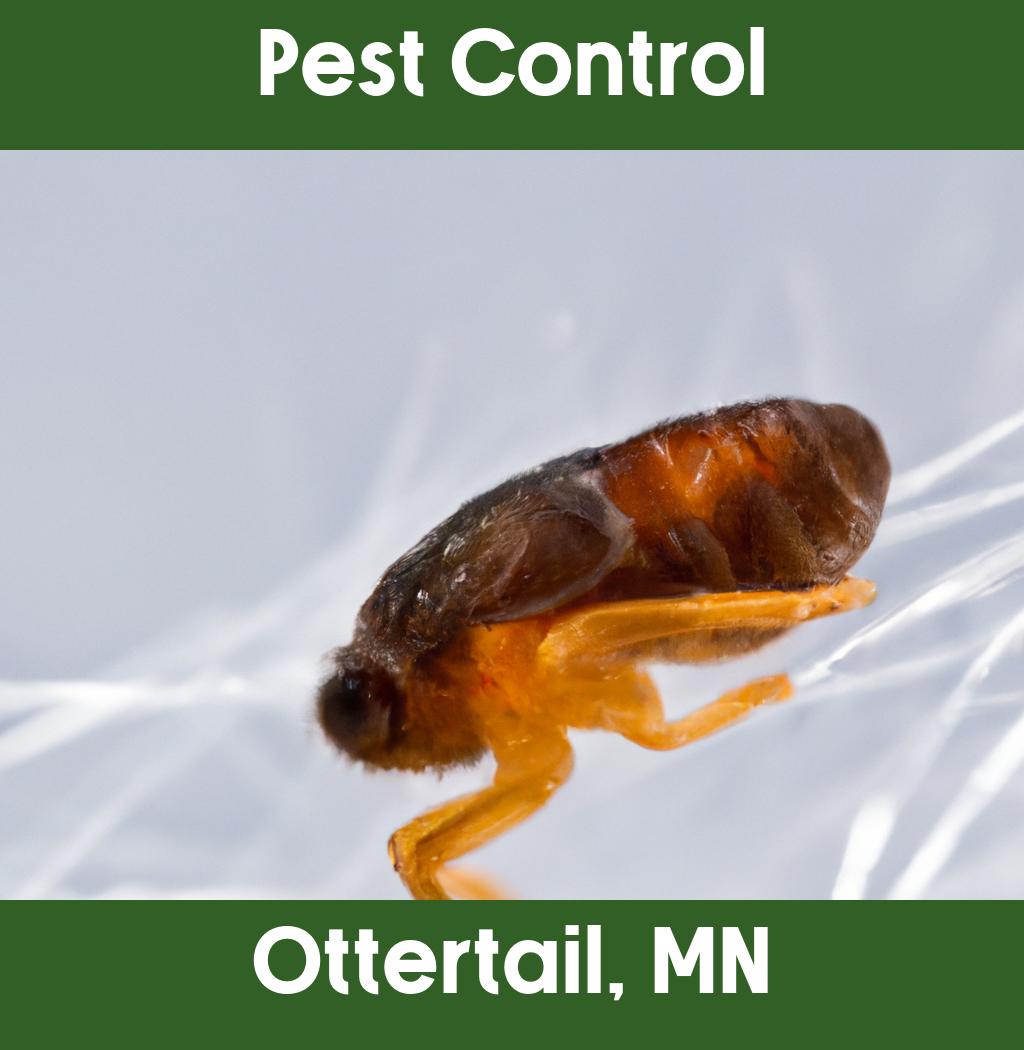 pest control in Ottertail Minnesota