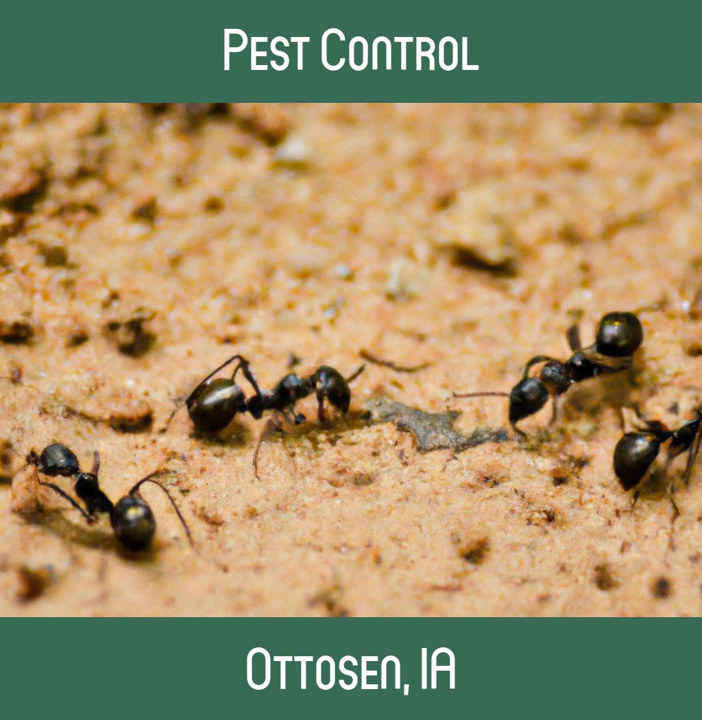 pest control in Ottosen Iowa