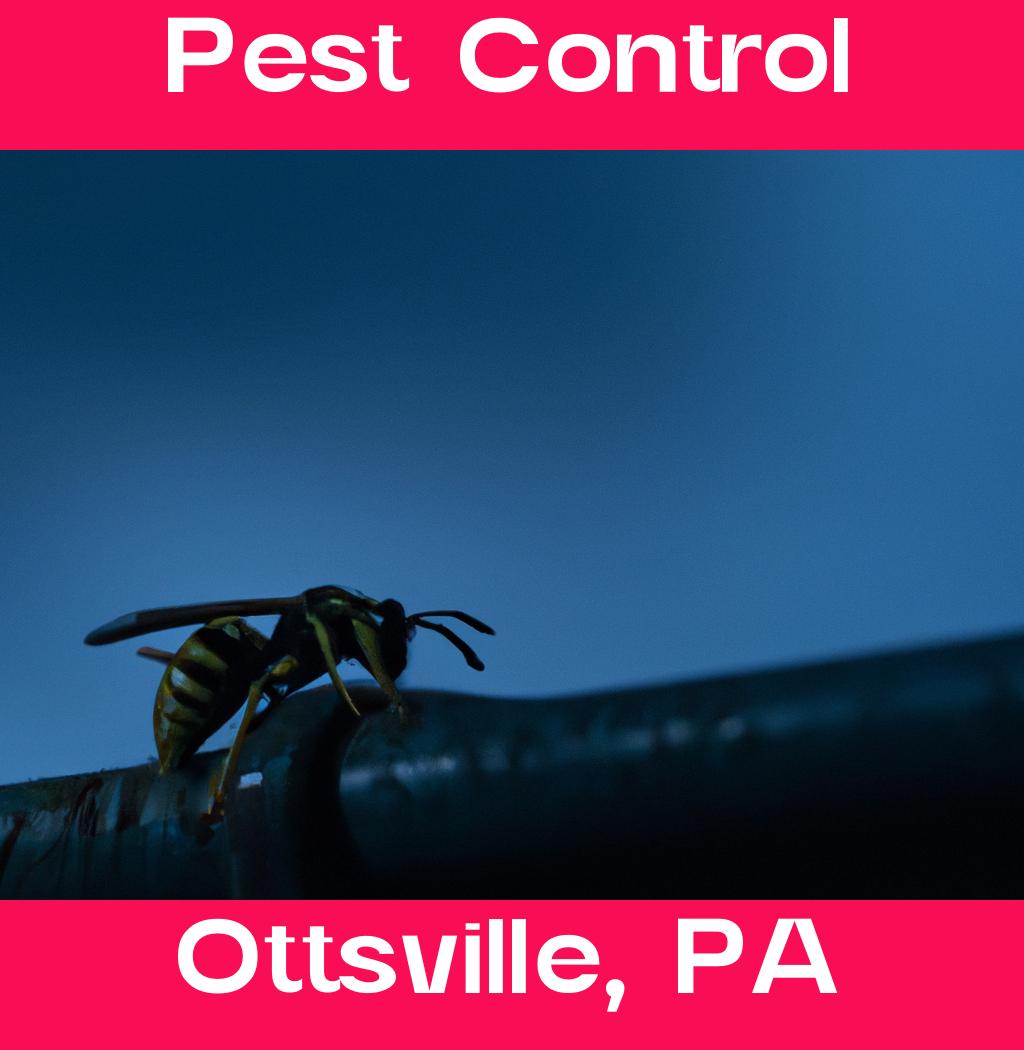 pest control in Ottsville Pennsylvania