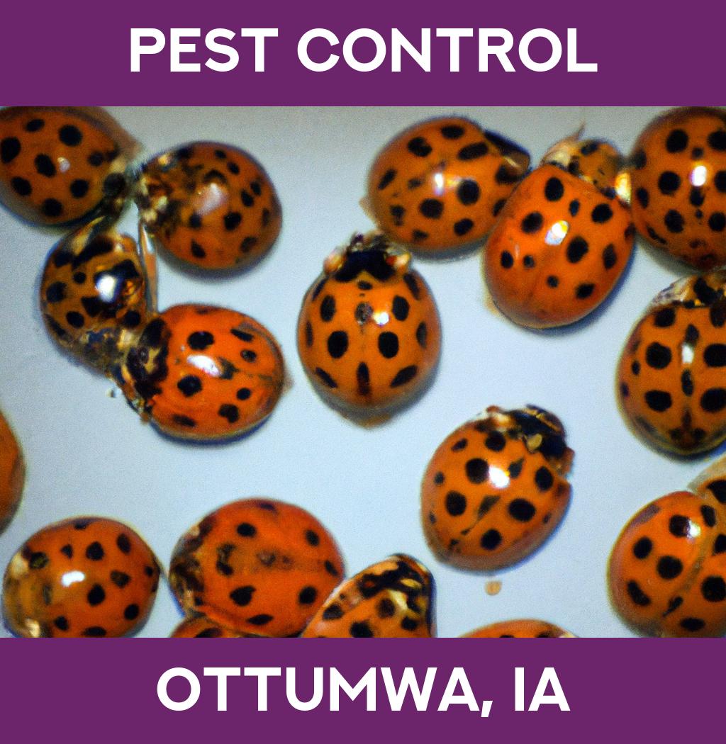 pest control in Ottumwa Iowa