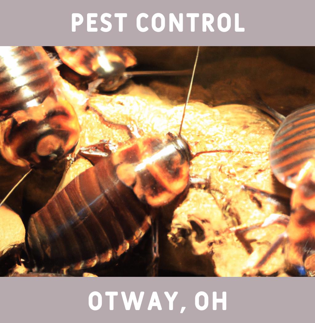 pest control in Otway Ohio
