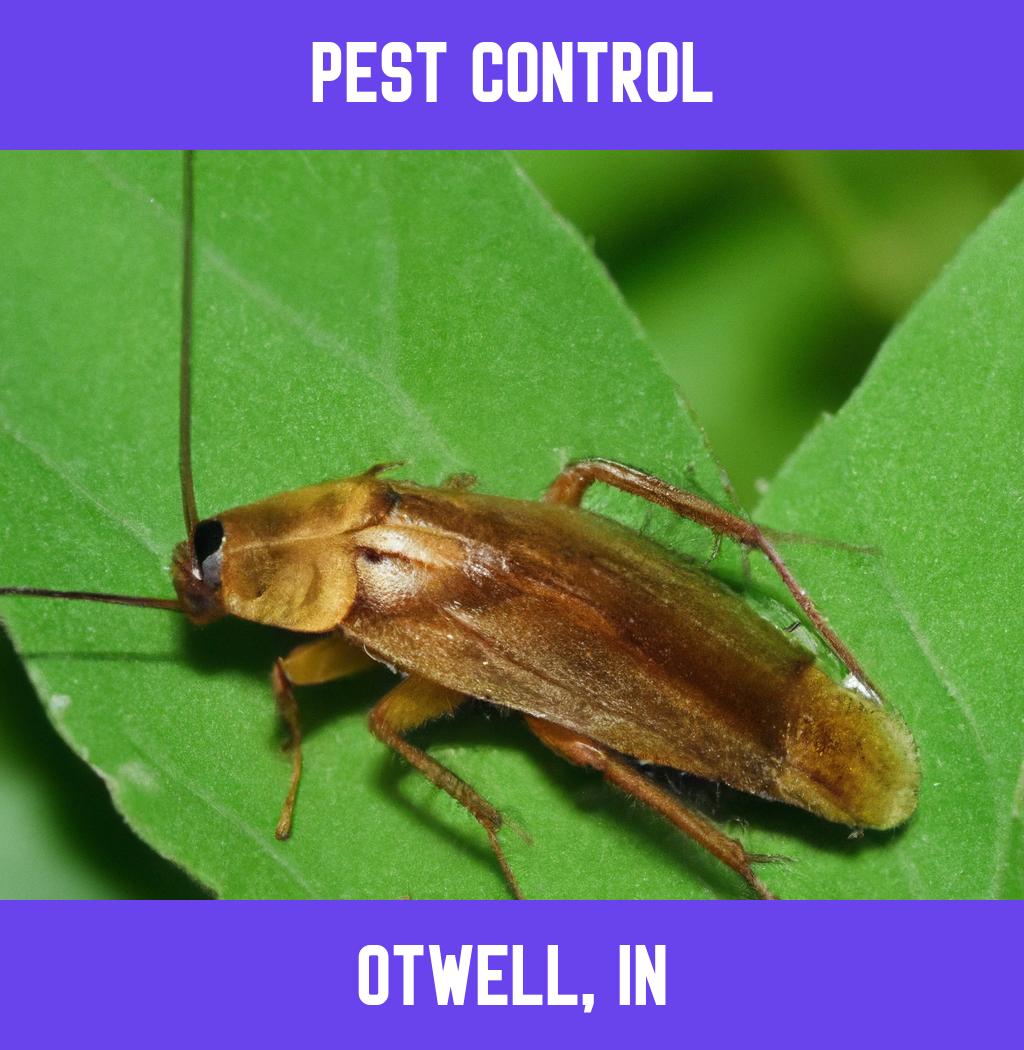 pest control in Otwell Indiana