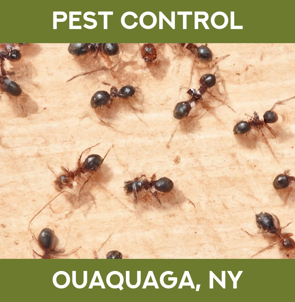 pest control in Ouaquaga New York