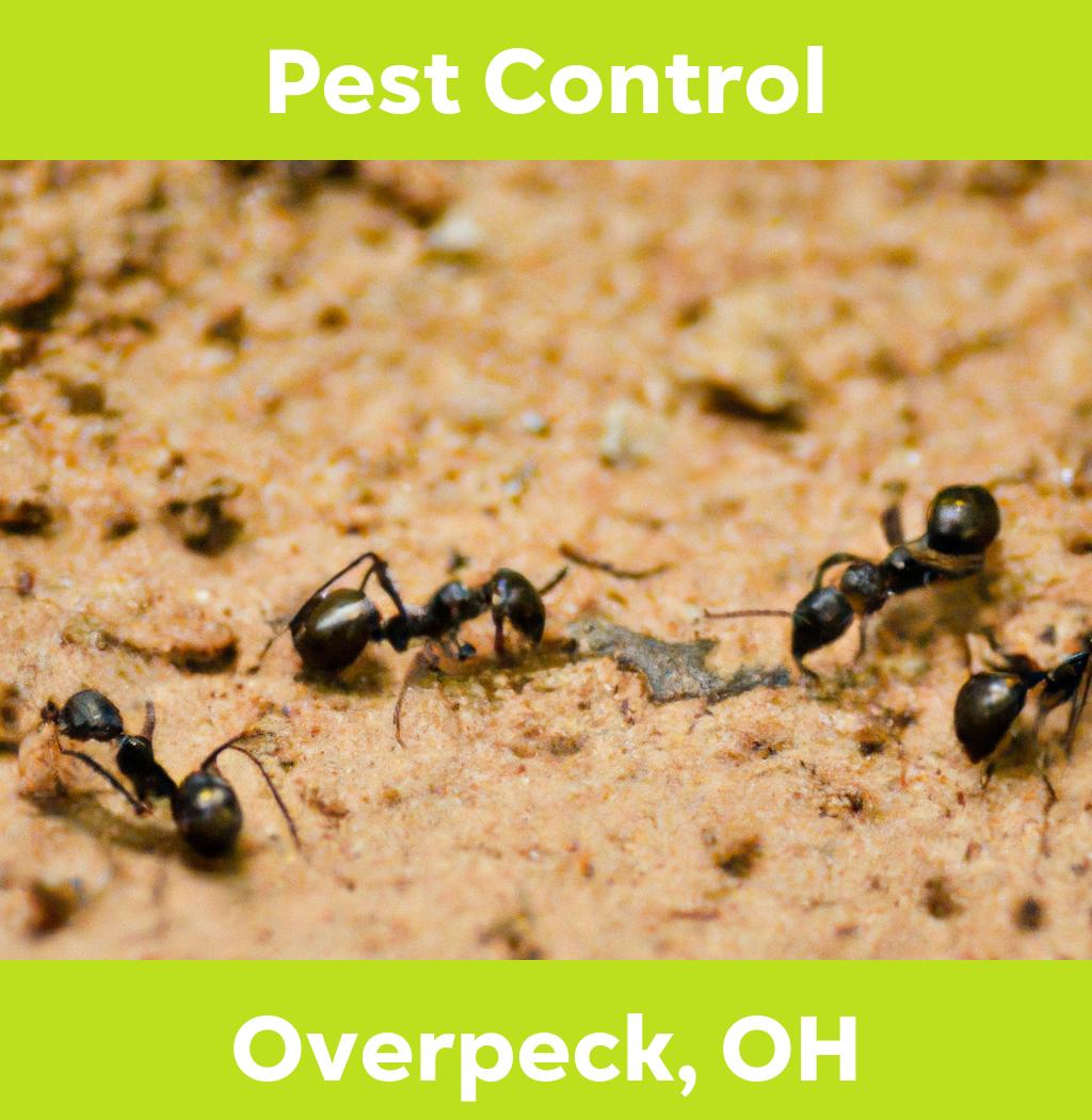 pest control in Overpeck Ohio