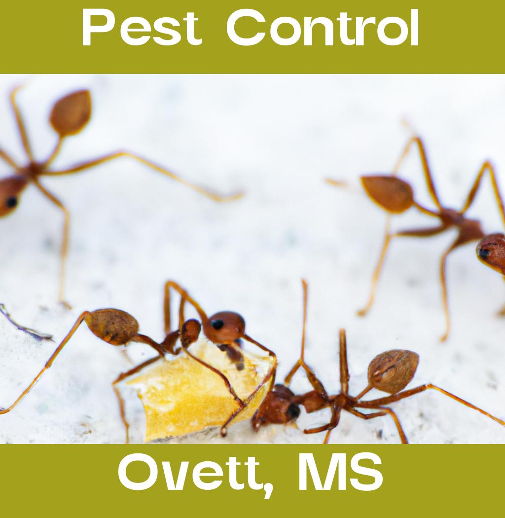 pest control in Ovett Mississippi