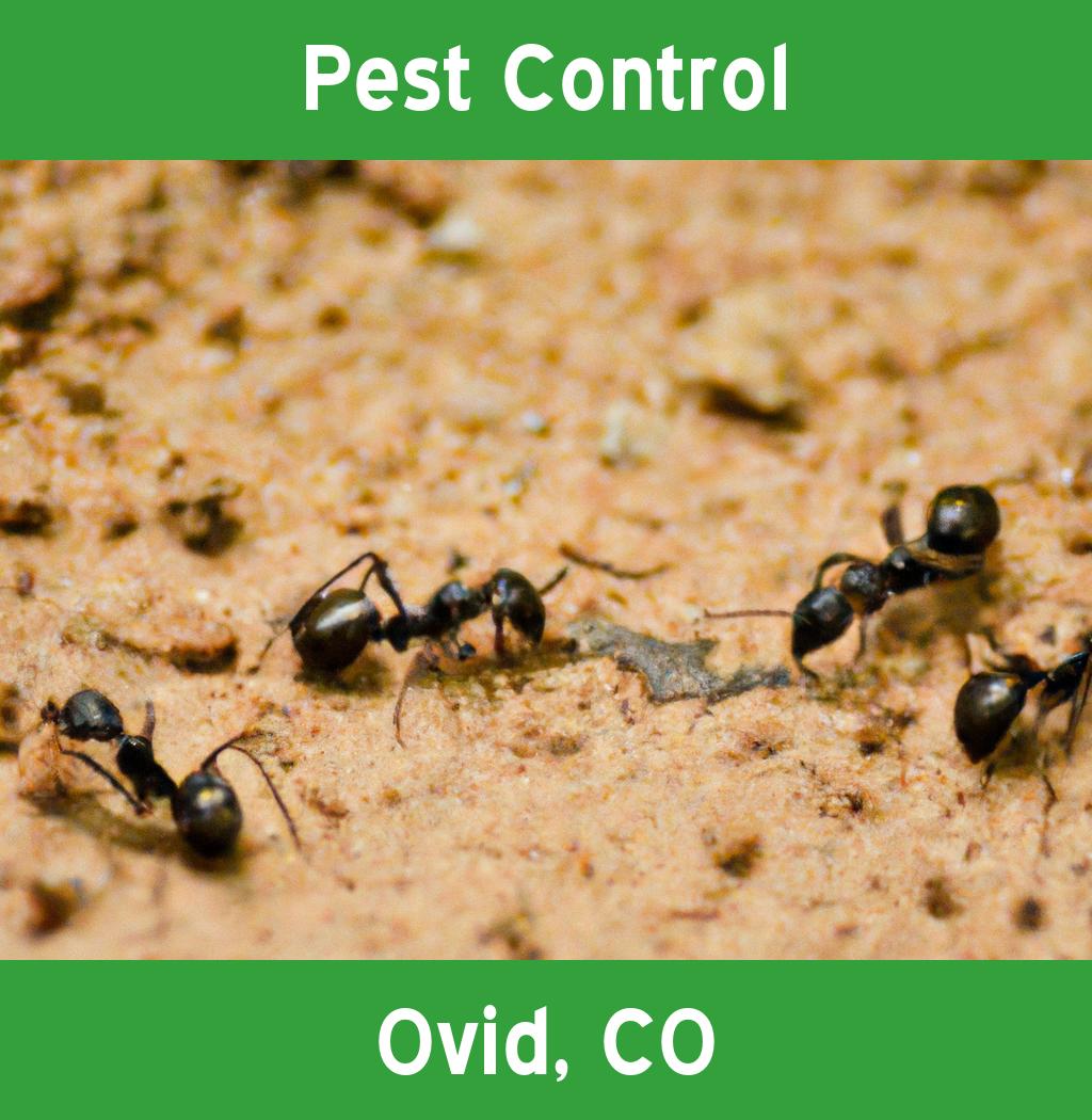 pest control in Ovid Colorado