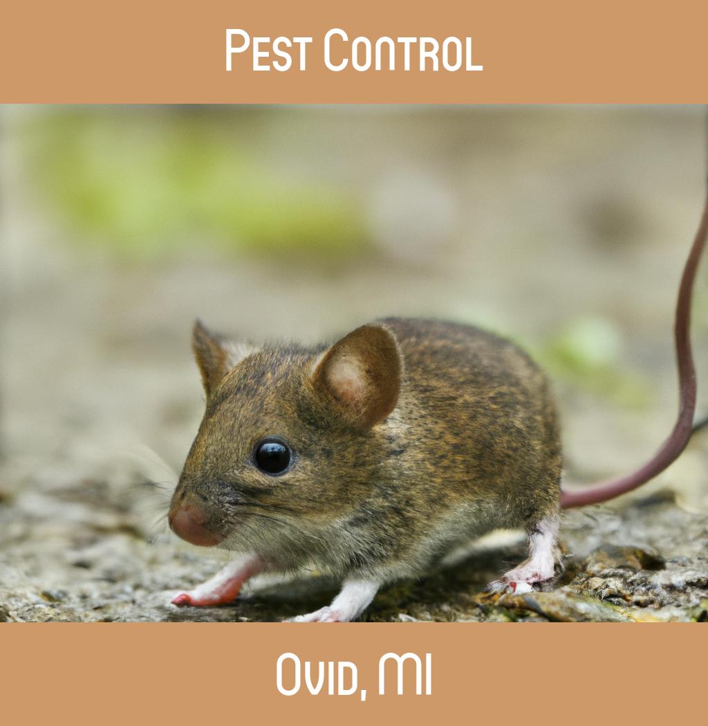 pest control in Ovid Michigan