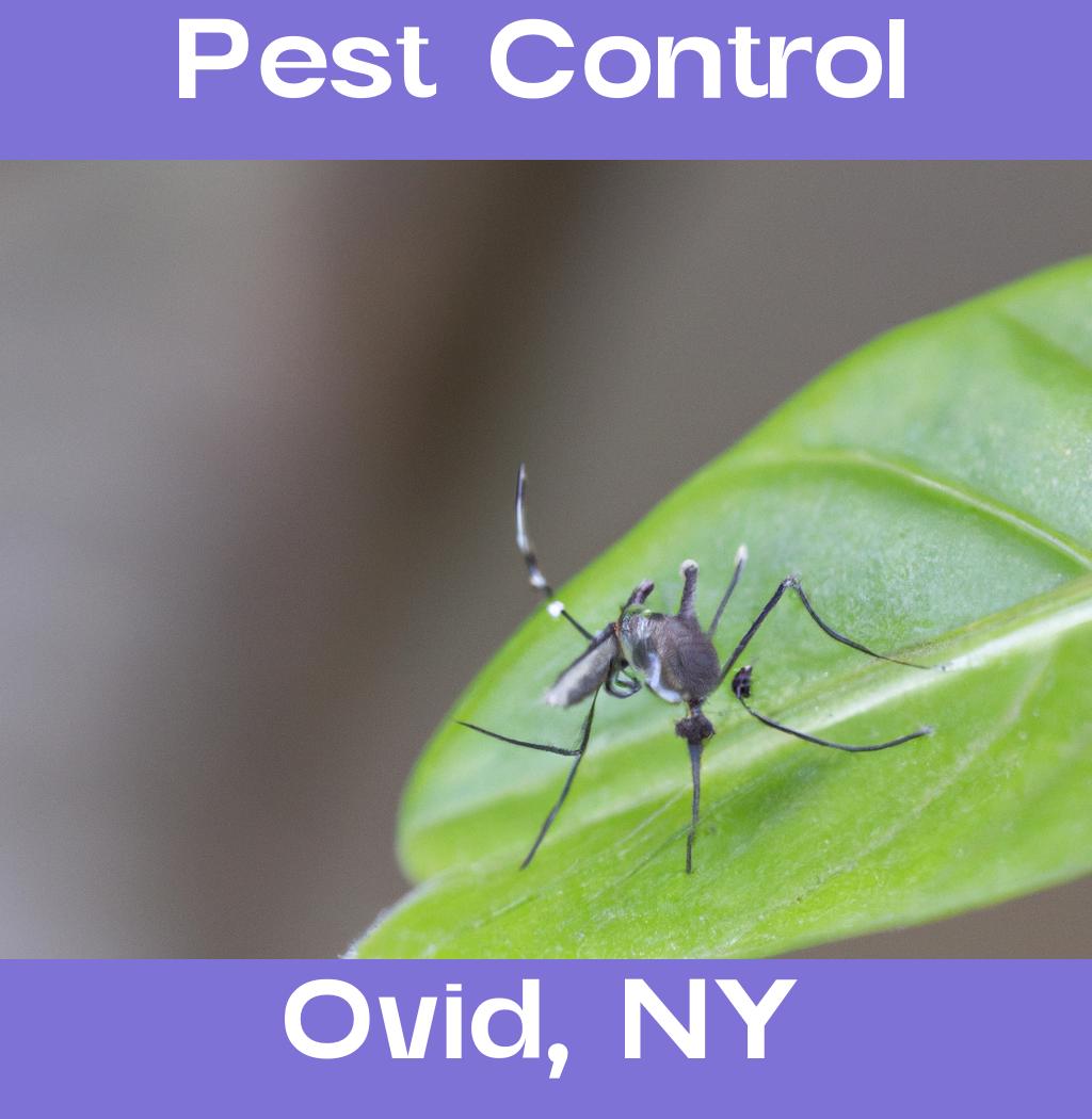 pest control in Ovid New York