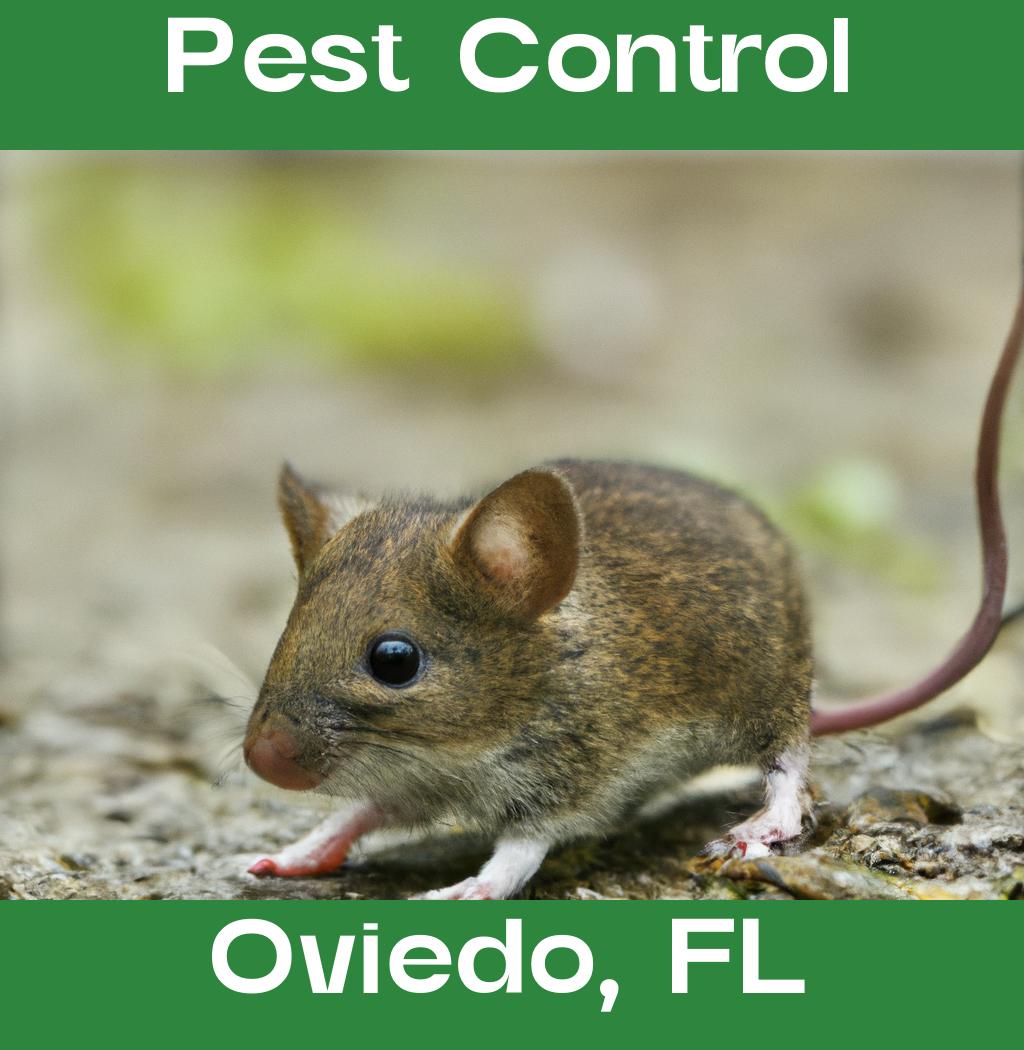 pest control in Oviedo Florida