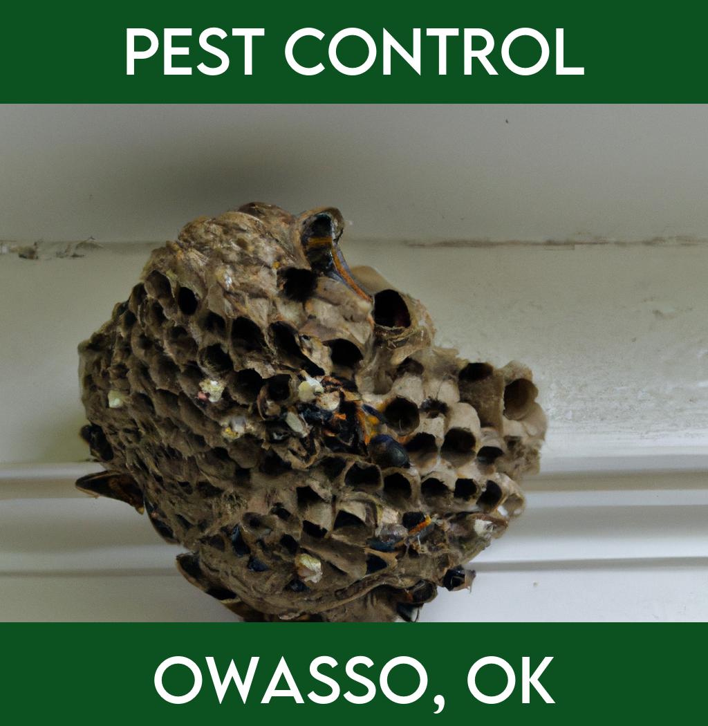 pest control in Owasso Oklahoma