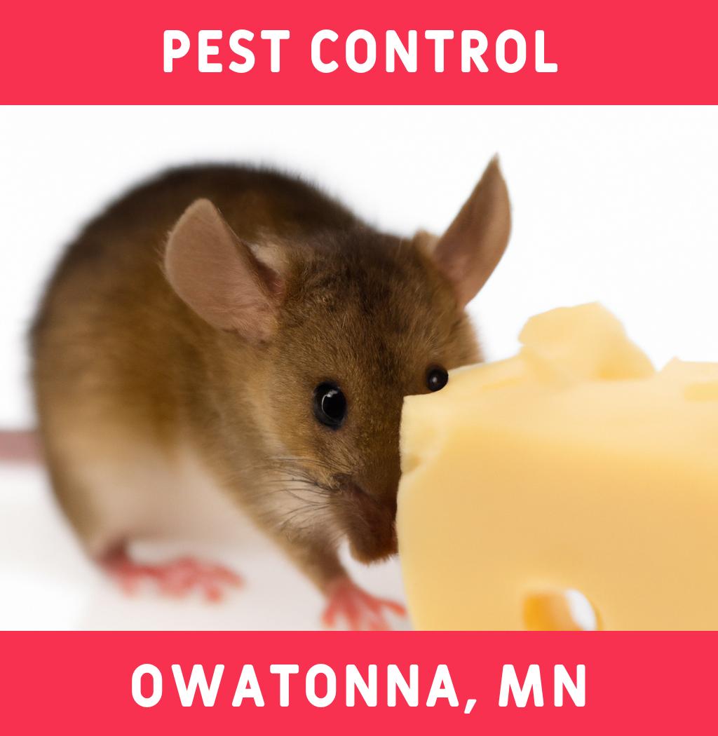 pest control in Owatonna Minnesota