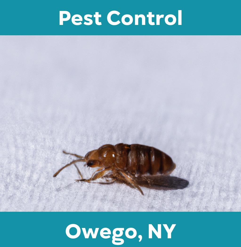 pest control in Owego New York