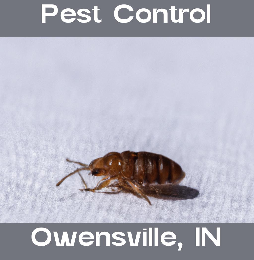 pest control in Owensville Indiana