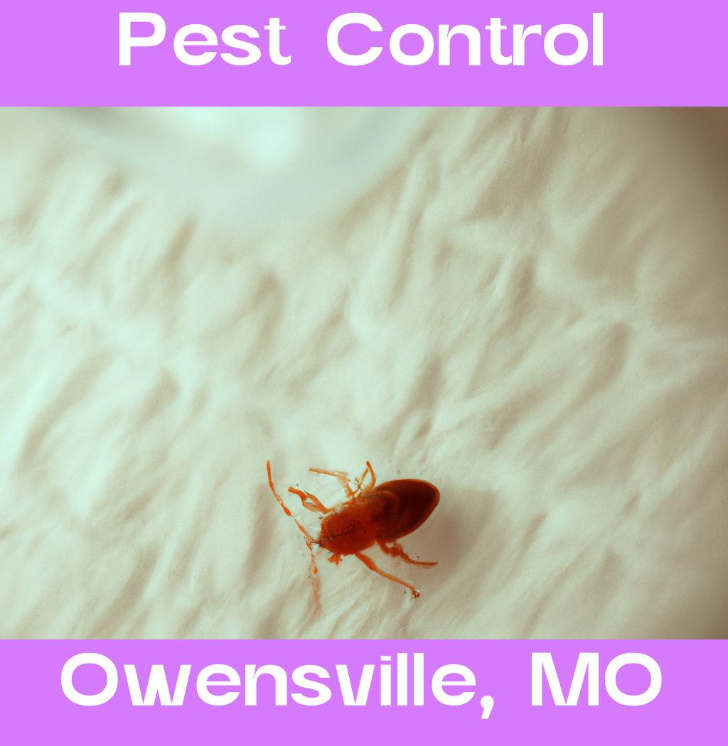 pest control in Owensville Missouri