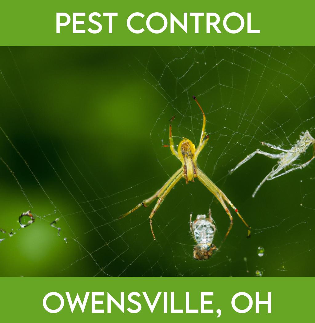pest control in Owensville Ohio