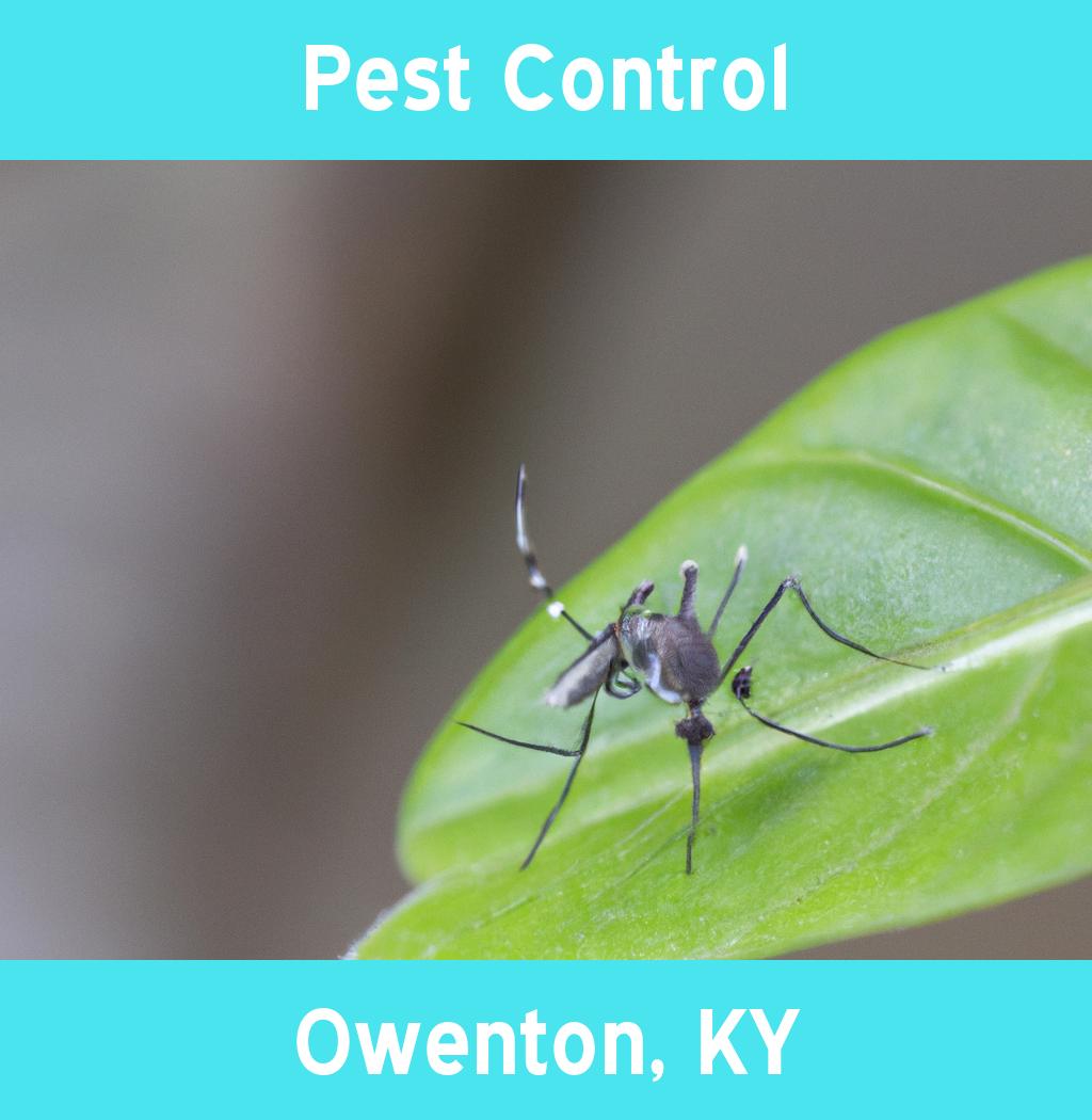 pest control in Owenton Kentucky