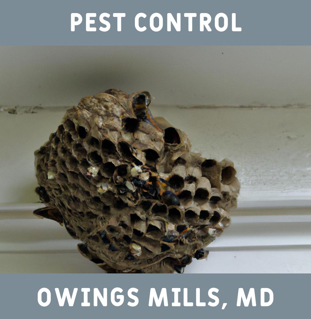 pest control in Owings Mills Maryland