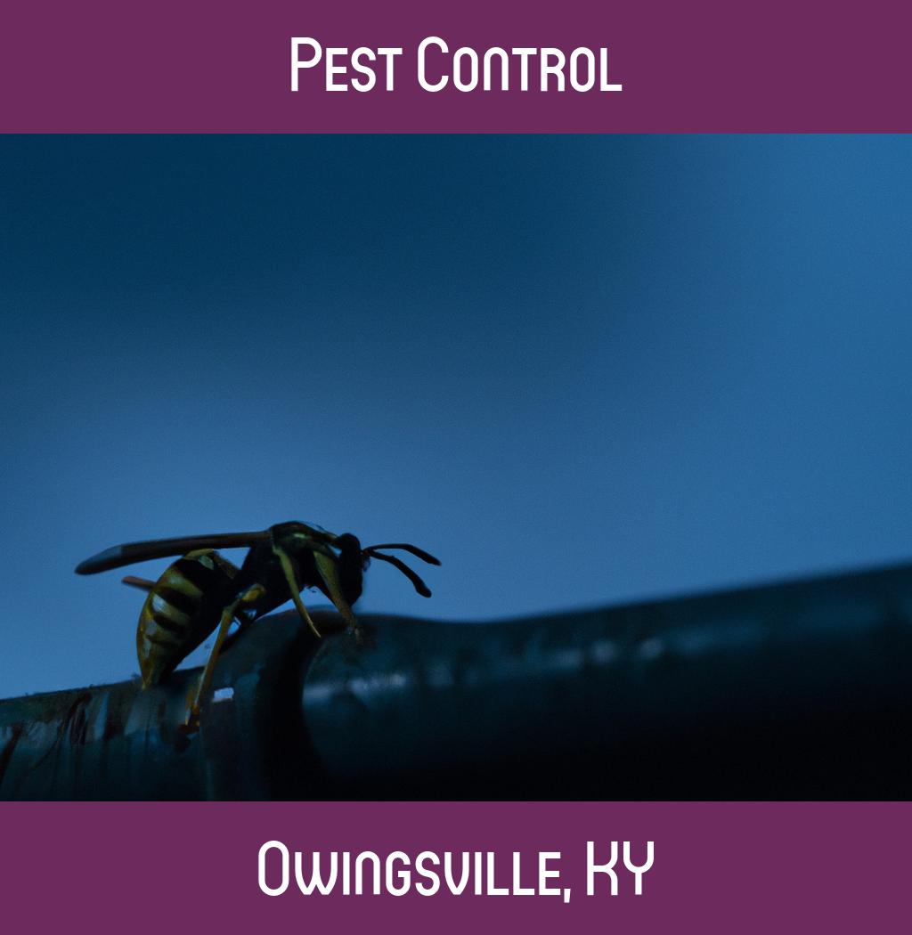 pest control in Owingsville Kentucky