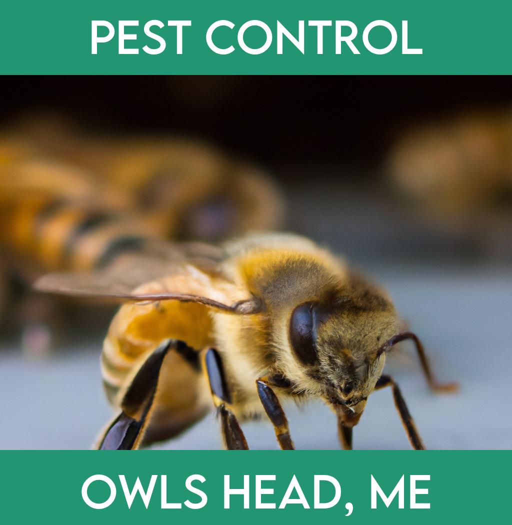 pest control in Owls Head Maine