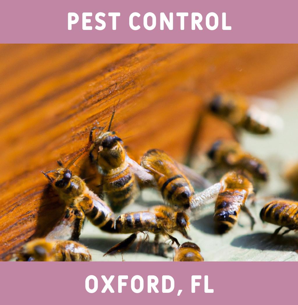 pest control in Oxford Florida