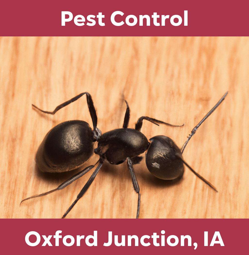 pest control in Oxford Junction Iowa