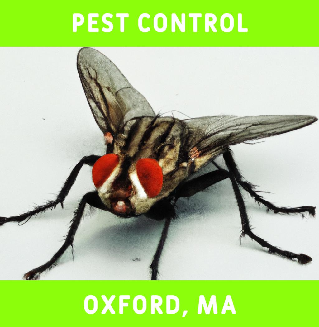 pest control in Oxford Massachusetts