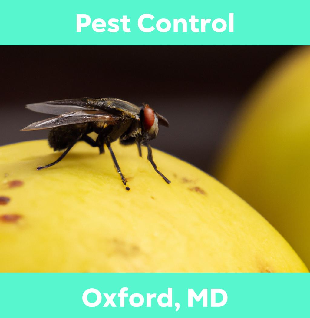 pest control in Oxford Maryland