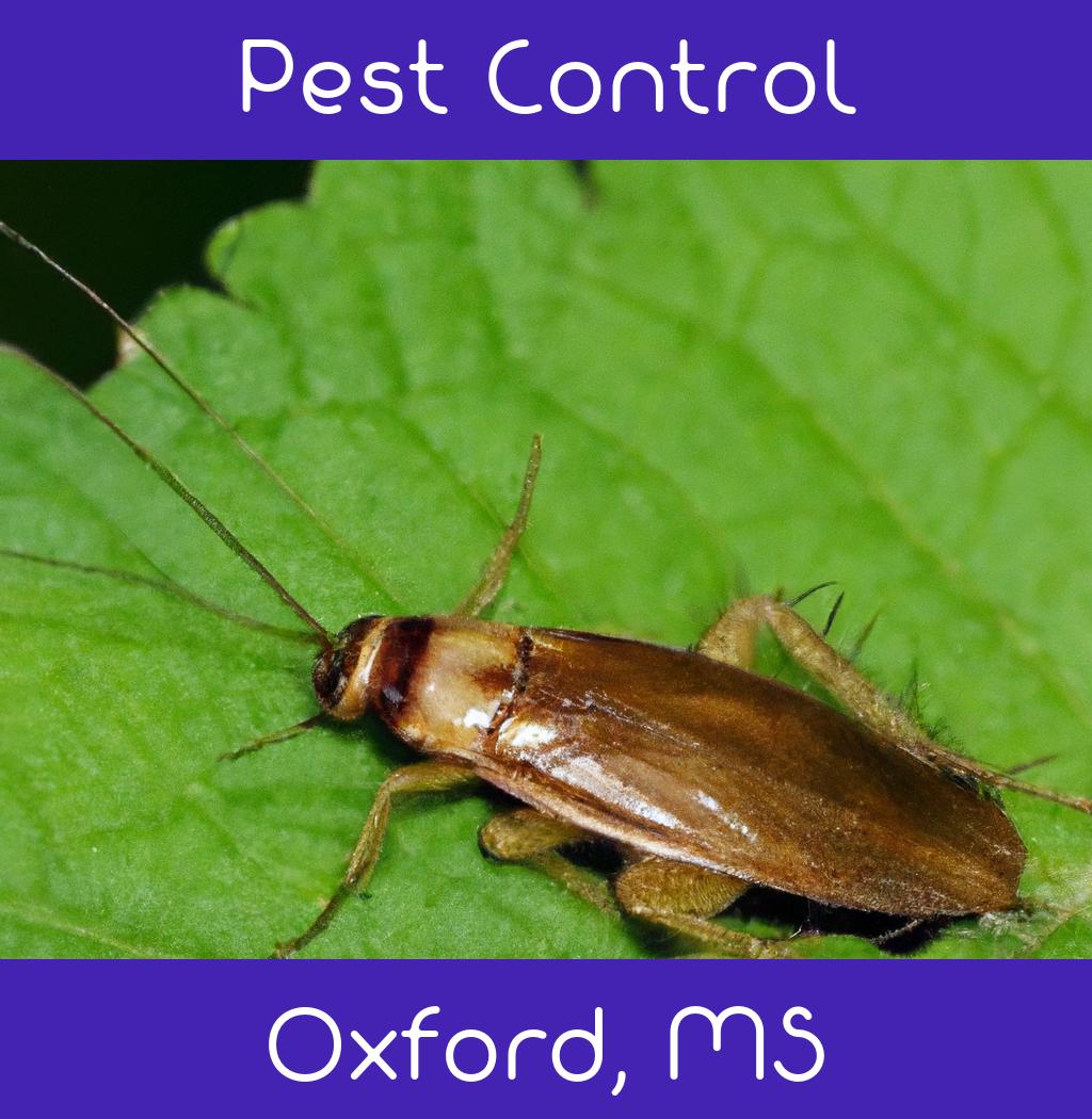 pest control in Oxford Mississippi