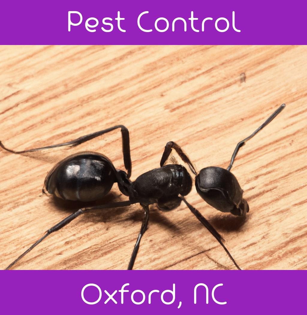 pest control in Oxford North Carolina