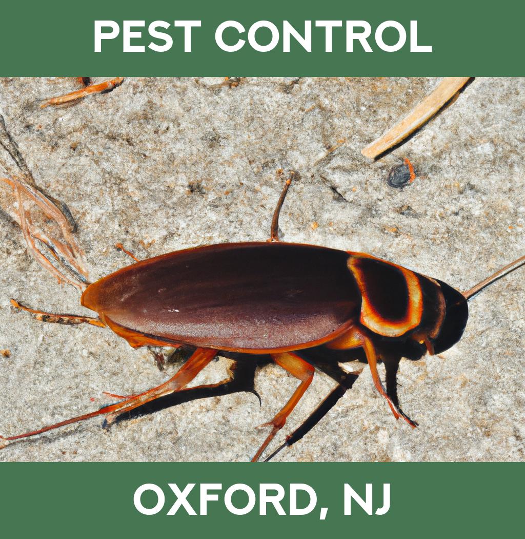 pest control in Oxford New Jersey
